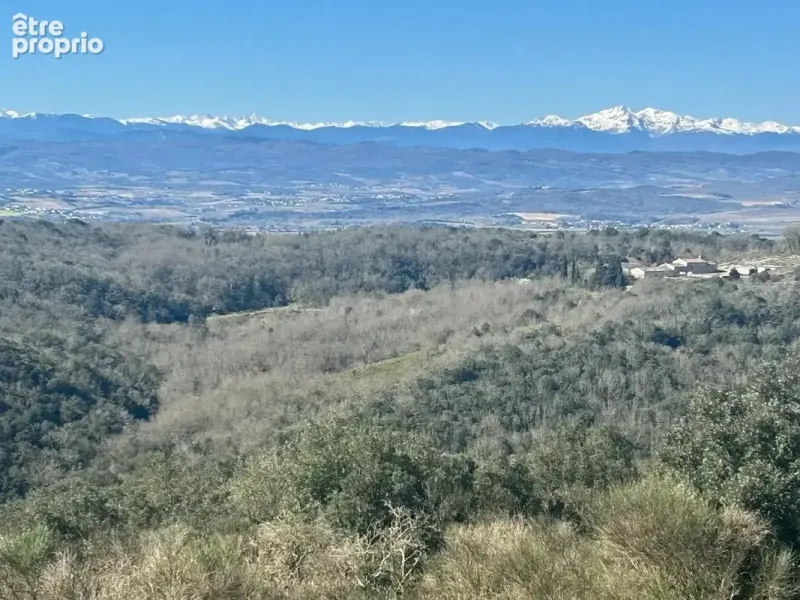 Photo Maison à Carcassonne au prix de 950 000€