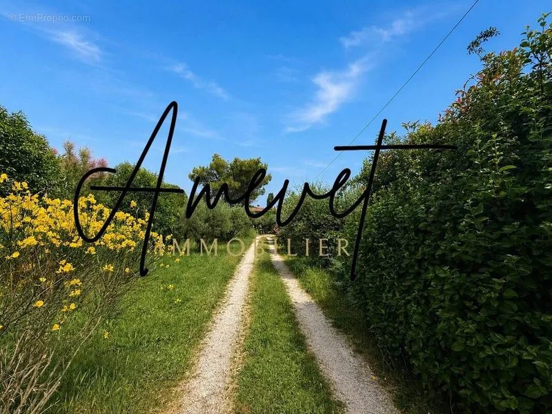 Photo Maison à Rochefort-Du-Gard au prix de 798 000€