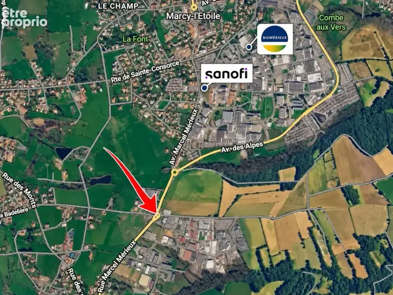 Photo Commerce à Sainte-Consorce au prix de 2 650 000€