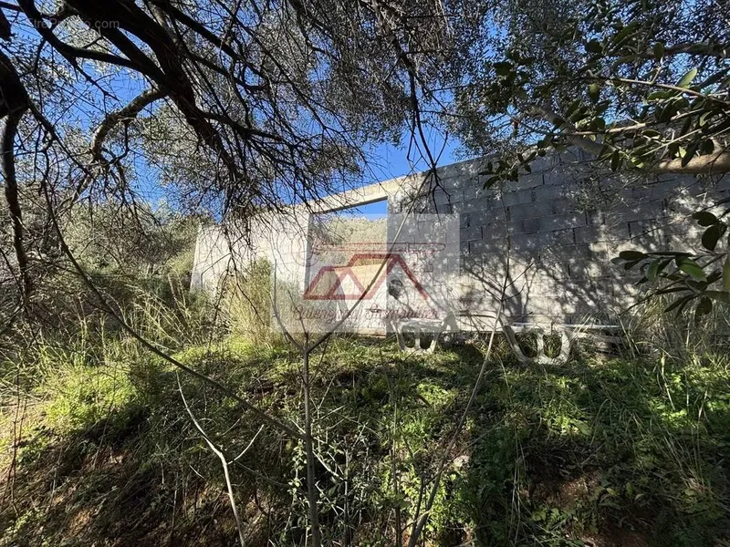 Photo Terrain à Calenzana au prix de 360 000€