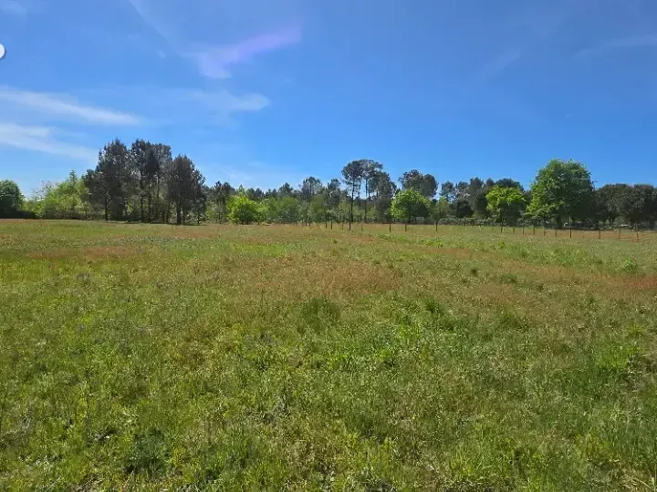 Photo Terrain à Saint-Savin au prix de 56 000€
