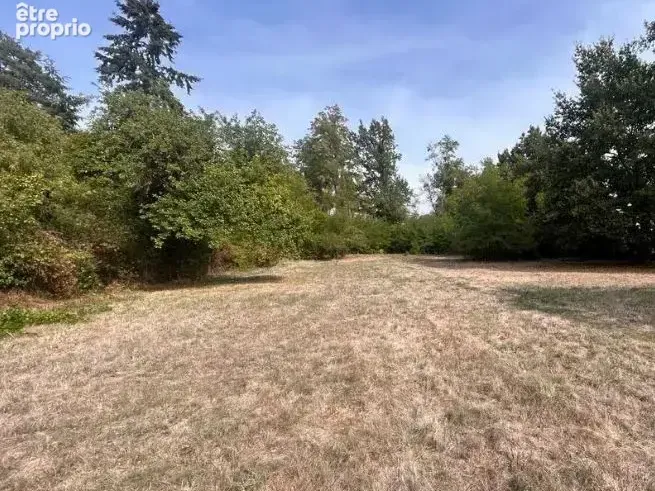 Photo Terrain à Decize au prix de 15 000€