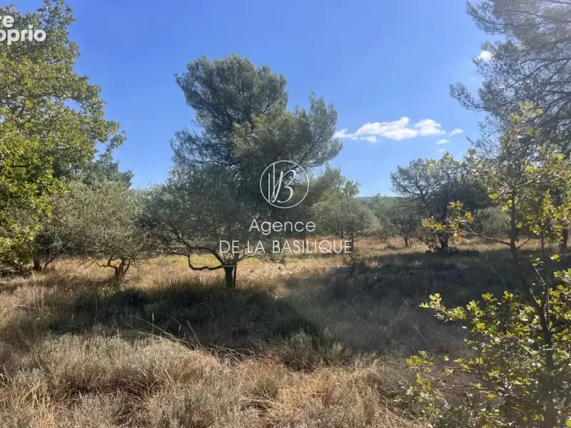 Photo Terrain à La Verdiere au prix de 48 000€