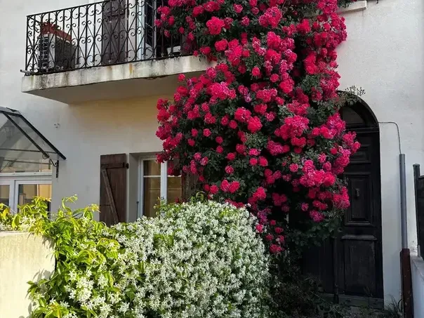 Photo Appartement à Cauro au prix de 220 000€