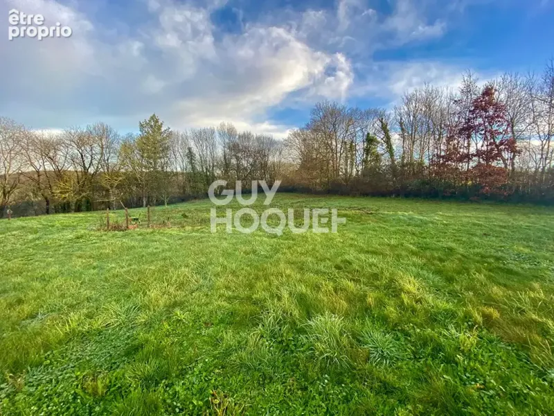 Photo Terrain à Mervent au prix de 65 900€