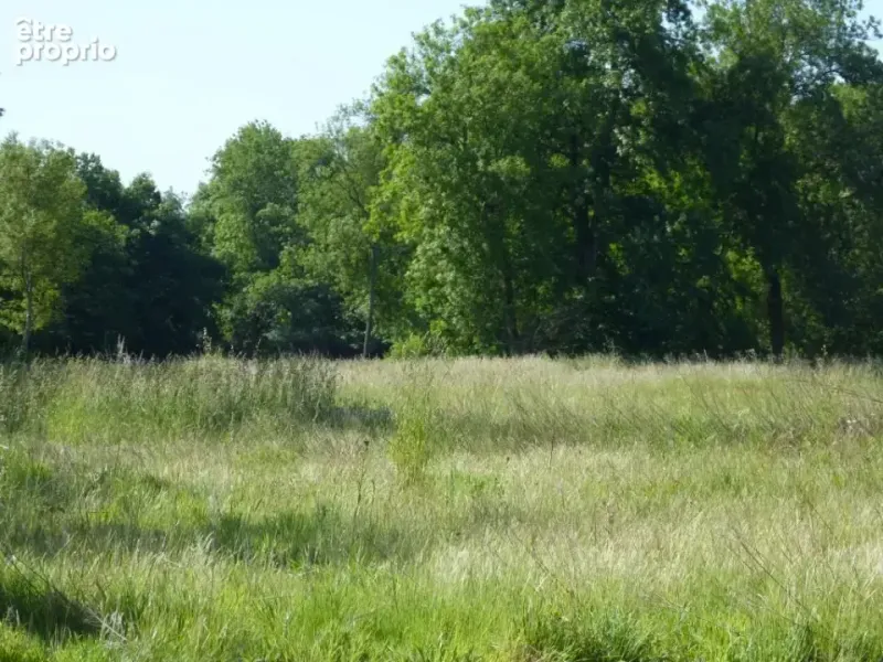 Photo Terrain à La Ferte-Saint-Samson au prix de 52 500€