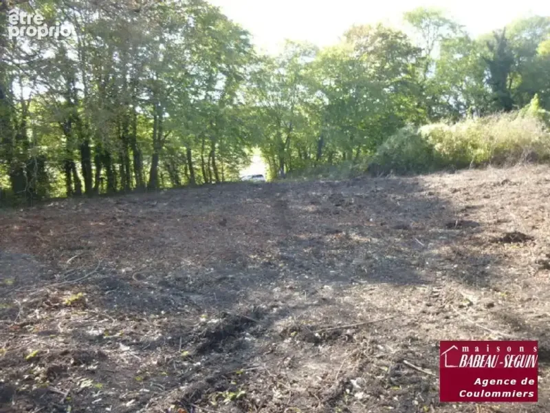 Photo Terrain à Amillis au prix de 85 000€