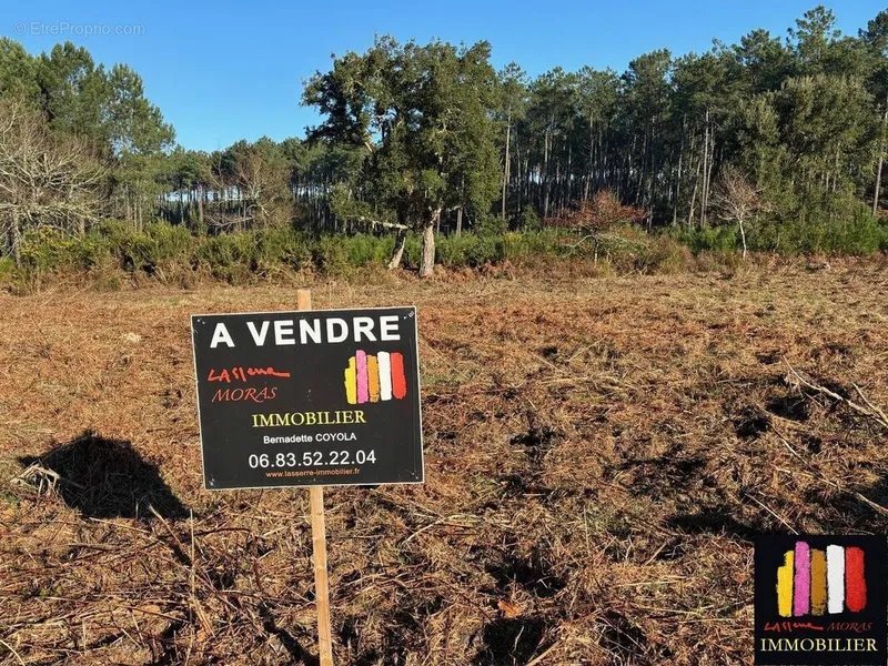 Photo Terrain à Moliets-Et-Maa au prix de 349 800€