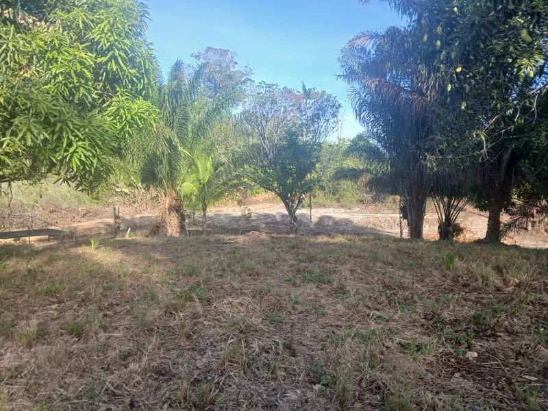 Photo Terrain à Macouria au prix de 160 000€