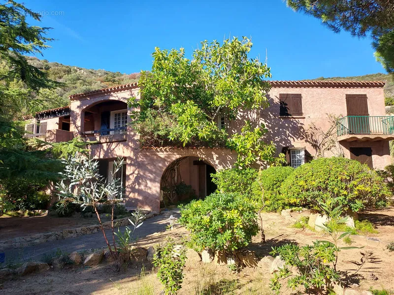 Photo Maison à Ajaccio au prix de 1 500 000€