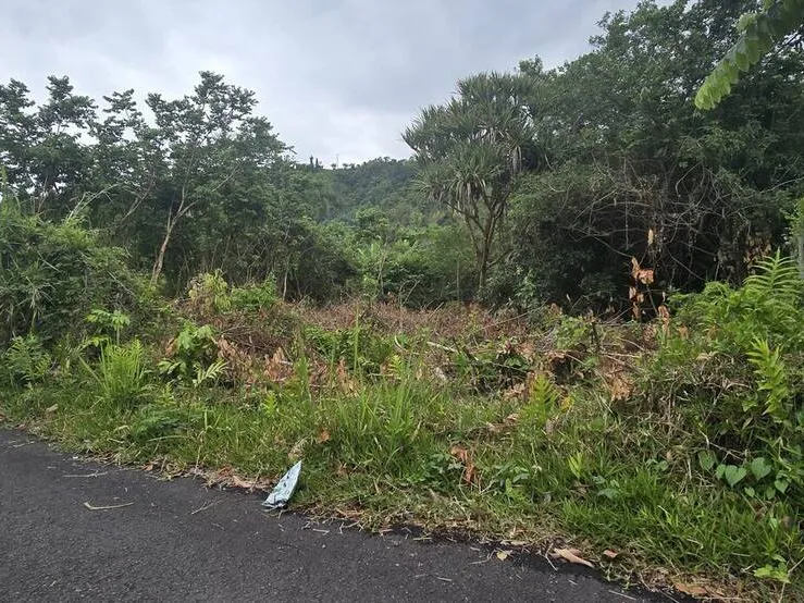 Photo Terrain à Saint-Andre au prix de 95 000€