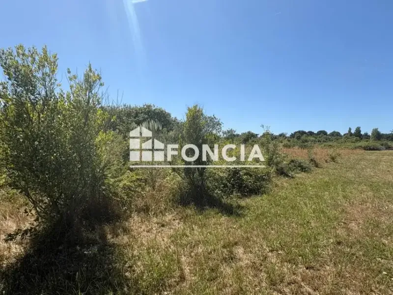 Photo Terrain à Saint-Denis-D'oleron au prix de 290 000€