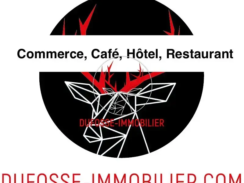 Photo Commerce à Villefranche-Sur-Saone au prix de 98 500€