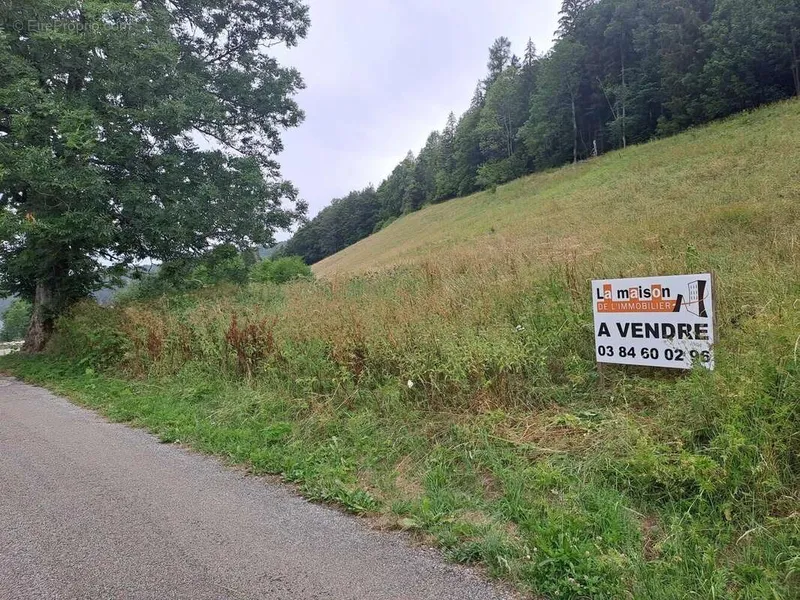 Photo Terrain à Lajoux au prix de 77 000€