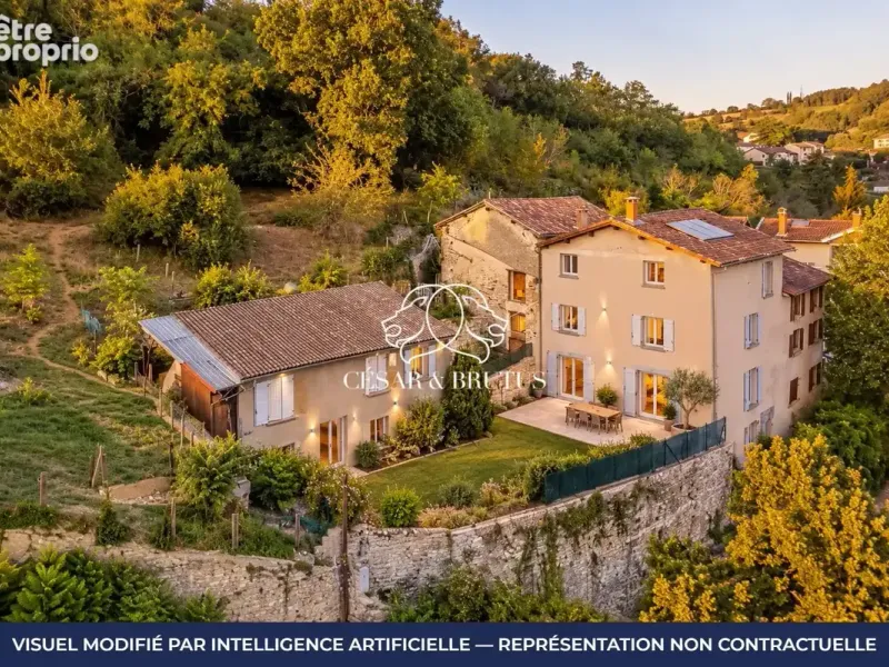Photo Maison à Vienne au prix de 420 000€