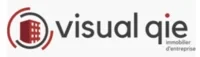 Visualqie - One Expert