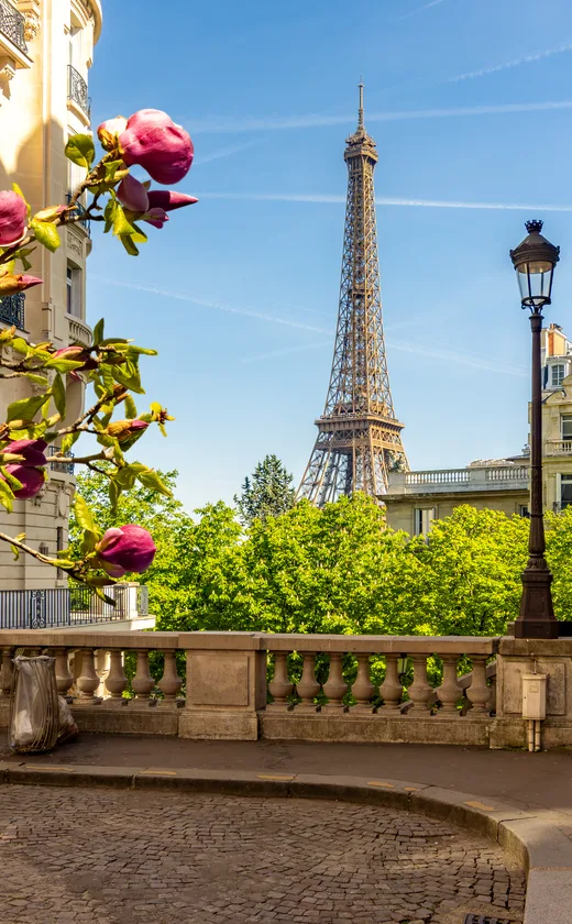Appartements à vendre à Paris