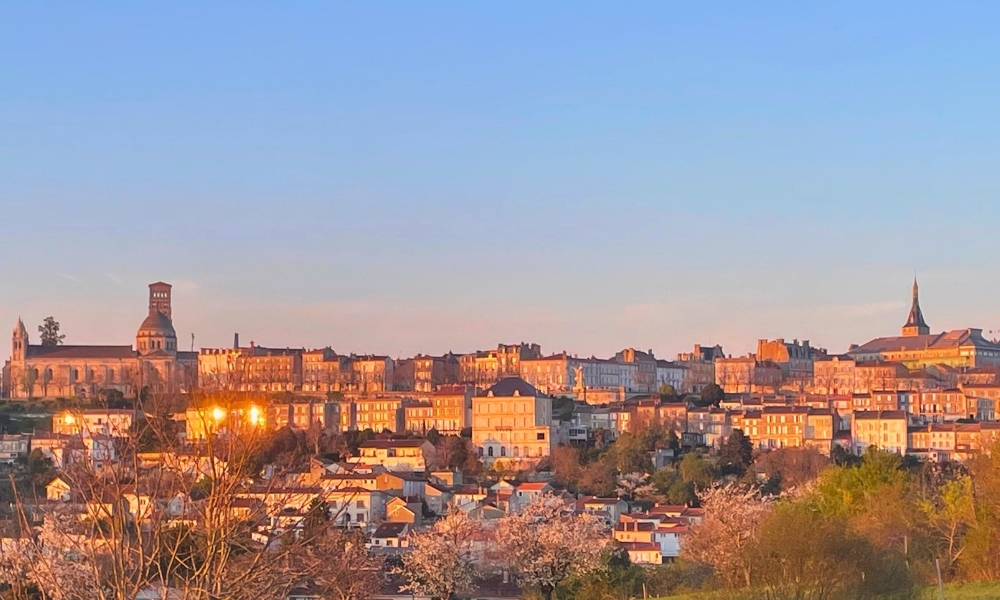 SIGNATURES bannière