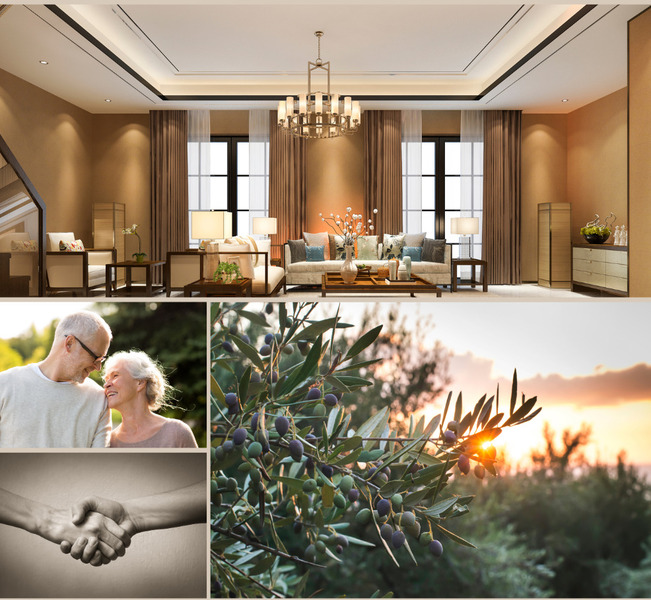 VIAGER MONTAIGNE bannière