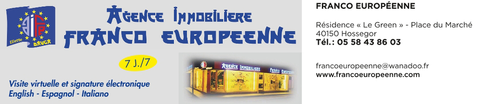 AGENCE IMMOBILIERE FRANCO EUROPEENNE bannière