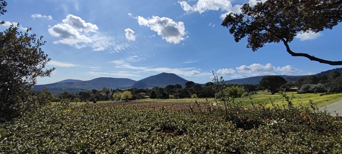 Elvi Immobilier bannière