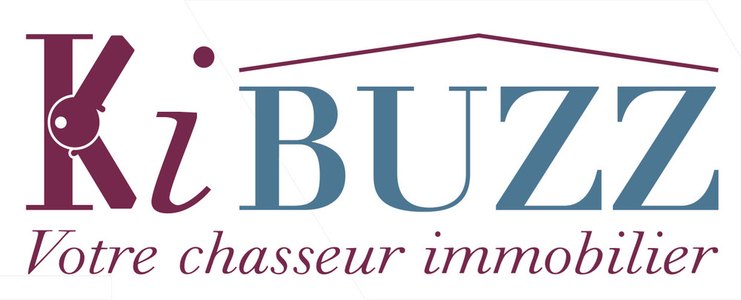 Ki BUZZ immo bannière