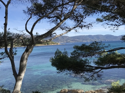 Cellier & Coates Bormes bannière