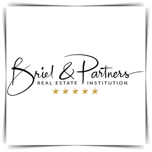 BRIEL & PARTNERS