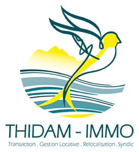THIDAM-IMMO