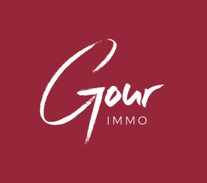 Gour Immobilier