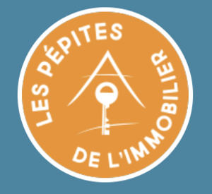 LES PEPITES DE L IMMOBILIER