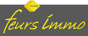 Feurs Immobilier