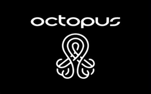 Corsican Octopus Property's