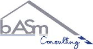 B.A.S.M Consulting