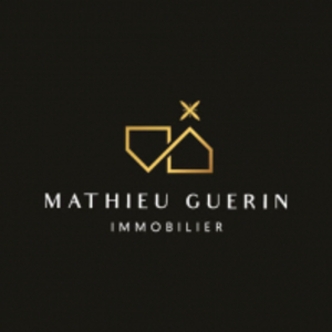 Mathieu Guerin Immobilier