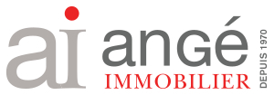 Angé Immobilier