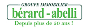 Embrun Immobilier