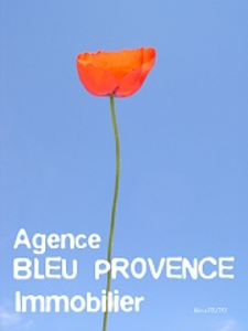 Bleu Provence Immobilier