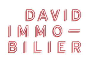 DAVID IMMO SAINT GEORGES-MARTYRS