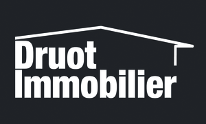 Druot Immobilier BARAQUEVILLE