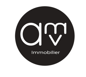 AMV Immobilier Iles d'Or