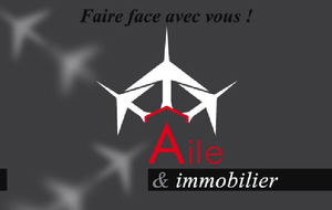 Aile Et Immobilier