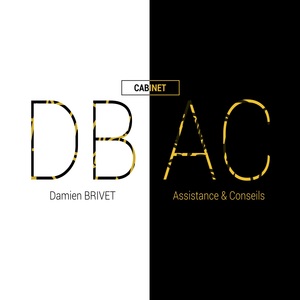 Damien Brivet Assistance & Conseils