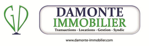 Damonte Immobilier