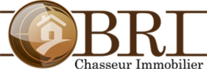 BRI Chasseur Immobilier