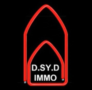 D.SY.D Immobilier