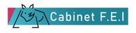CABINET-FEI