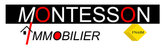 Montesson Immobilier