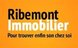 Ribemont Immobilier