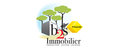 B2S Immobilier